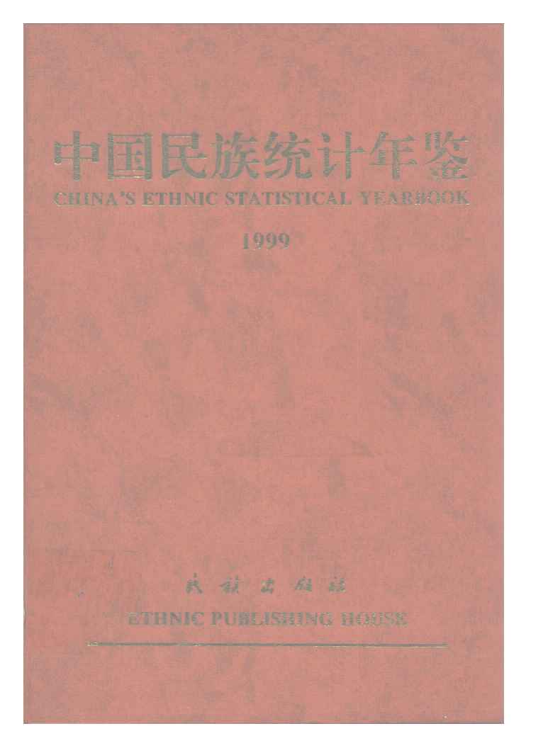 1999年中国民族统计年鉴封面