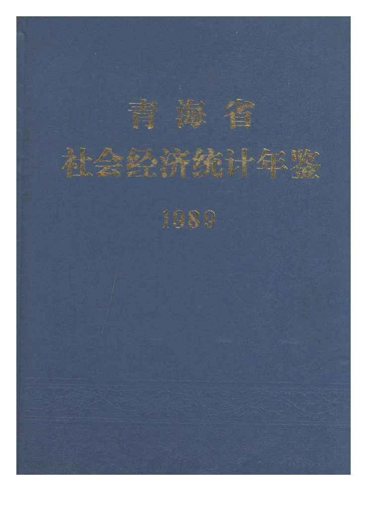 1989年青海省社会经济统计年鉴封面