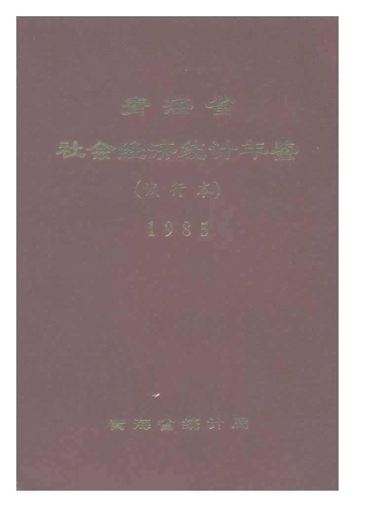 1985年青海省社会经济统计年鉴(试行本)封面