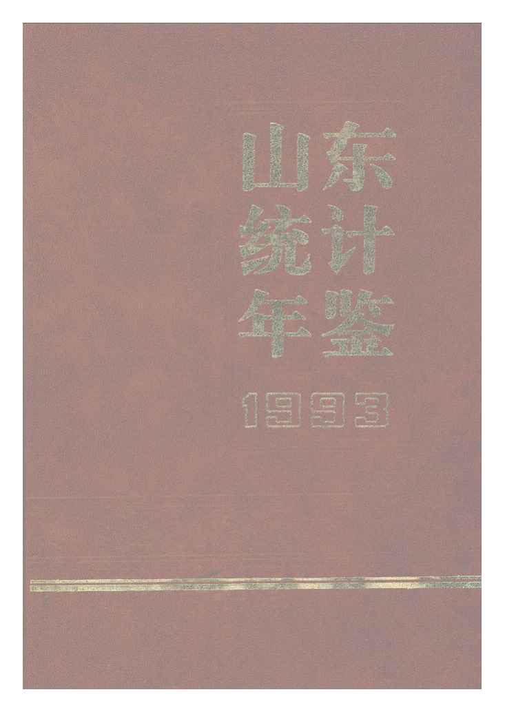1993年山东统计年鉴封面