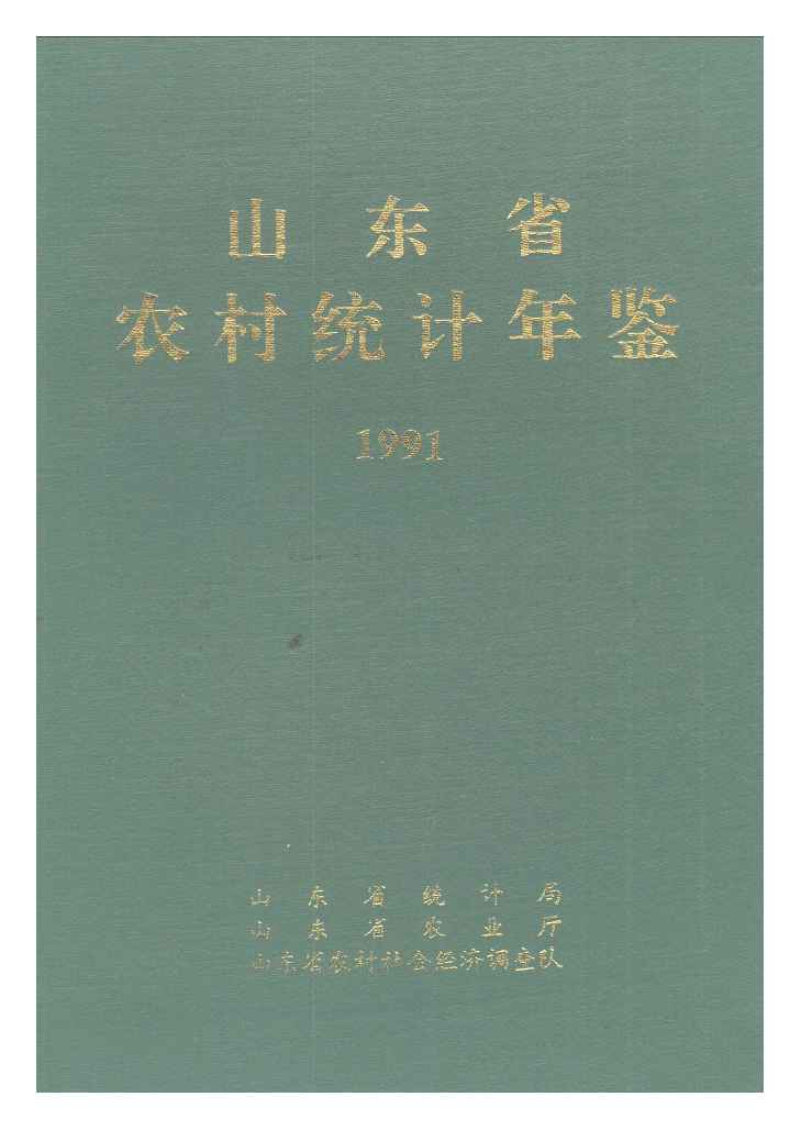 1991年山东省农村统计年鉴封面