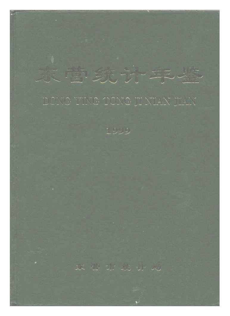 1999年东营统计年鉴封面