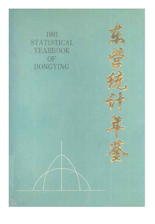 1991年东营统计年鉴封面