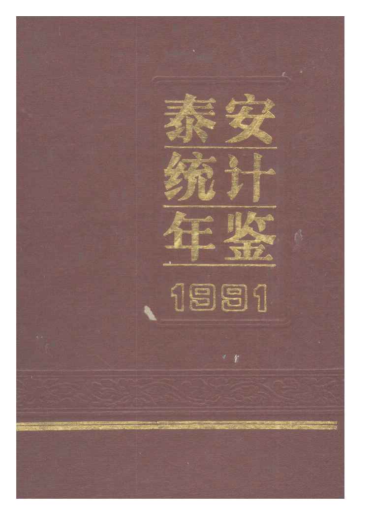 1991年泰安统计年鉴封面