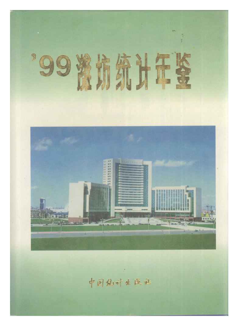 1999年潍坊统计年鉴封面