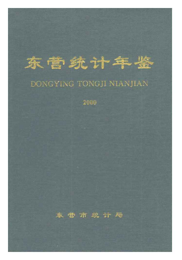 2000年东营统计年鉴封面
