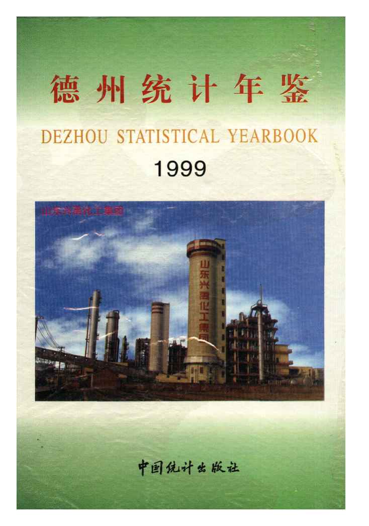 1999年德州统计年鉴封面