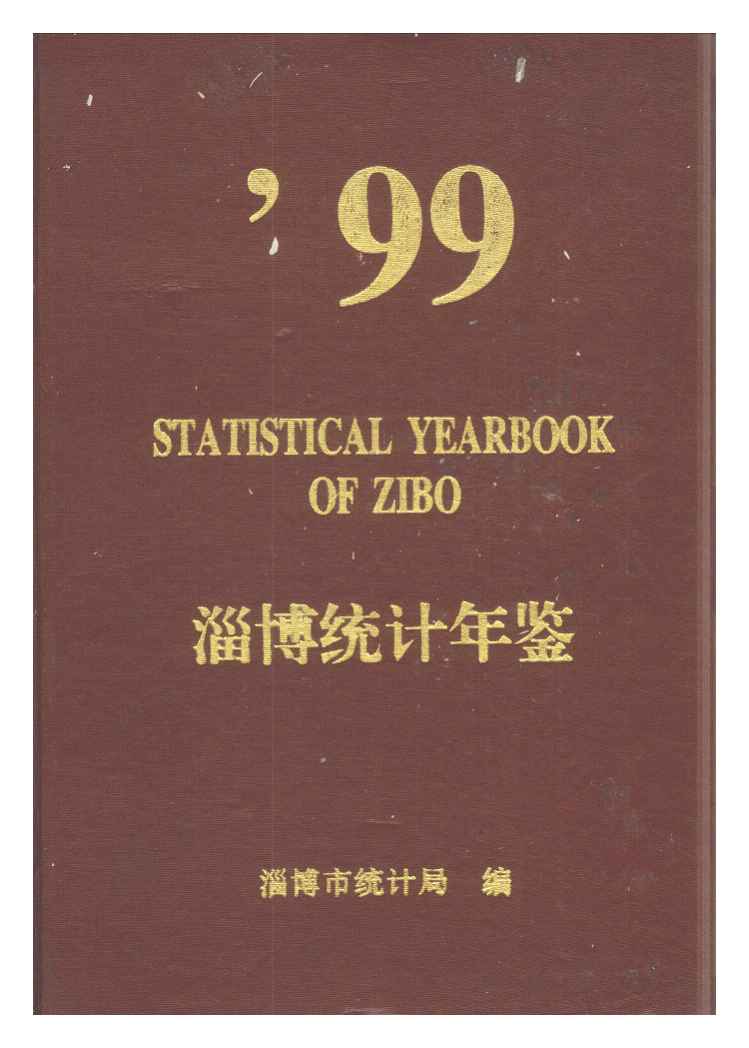 1999年淄博统计年鉴封面
