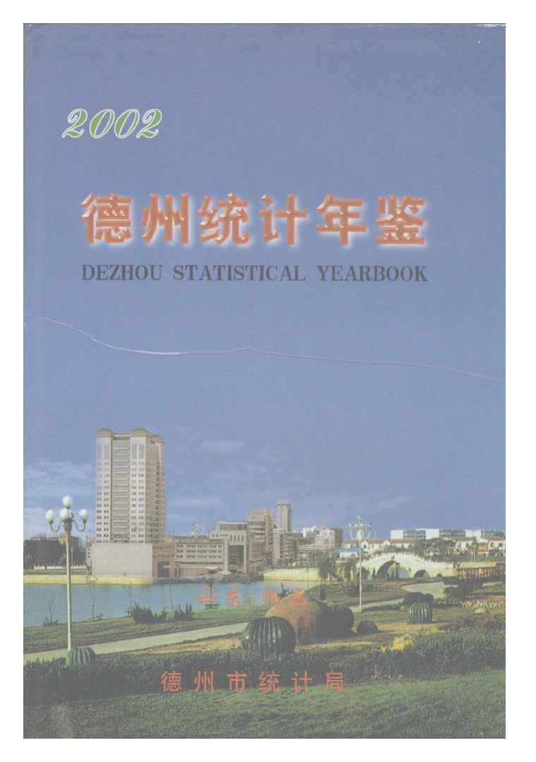 2002年德州统计年鉴封面