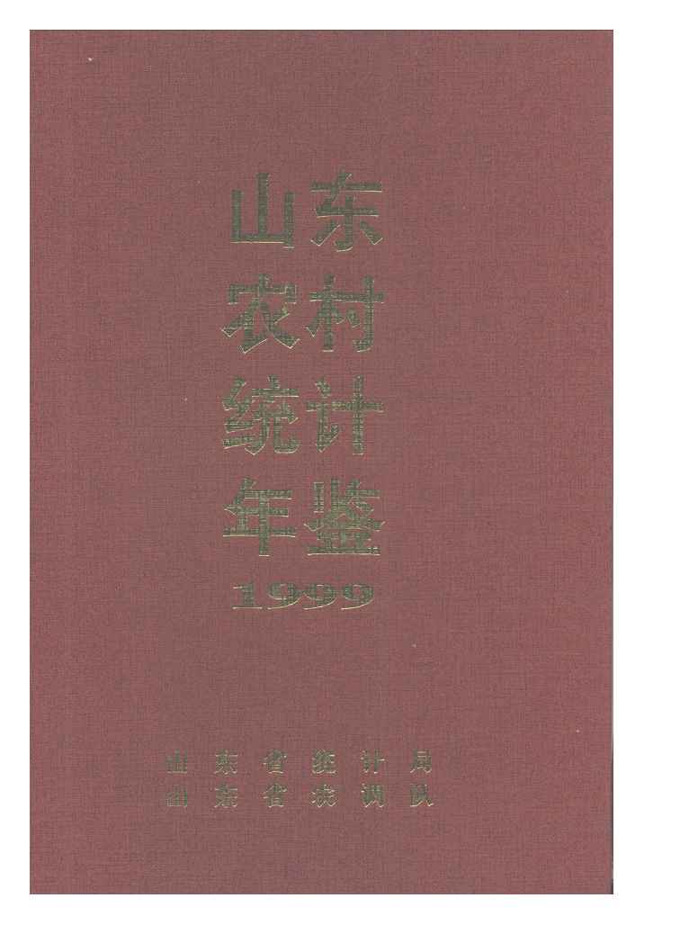1999年山东农村统计年鉴封面