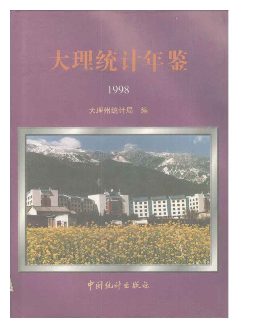 1998年大理统计年鉴封面