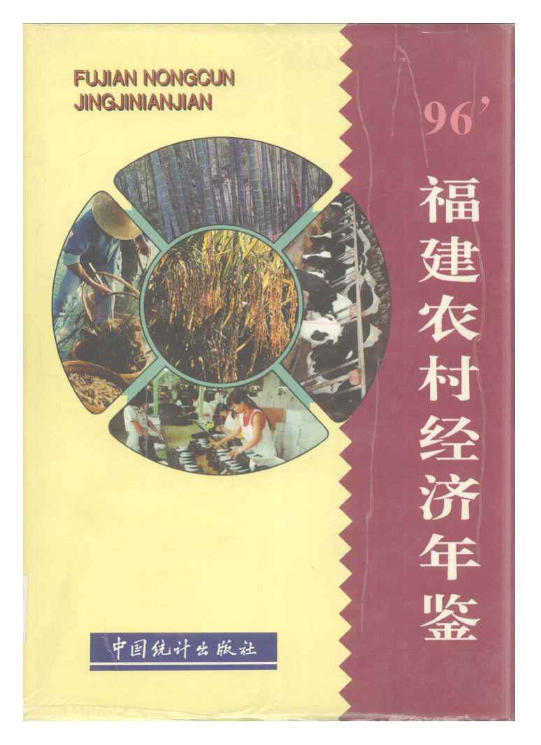 1996年福建农村经济年鉴封面