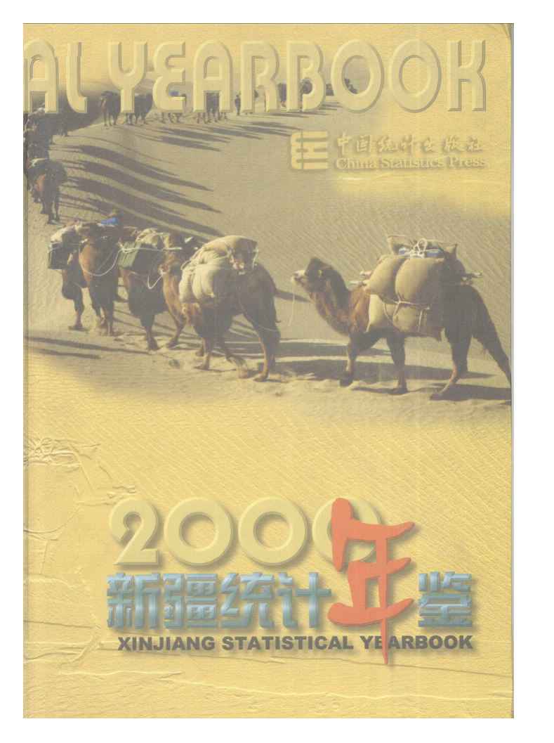 2000年新疆统计年鉴封面
