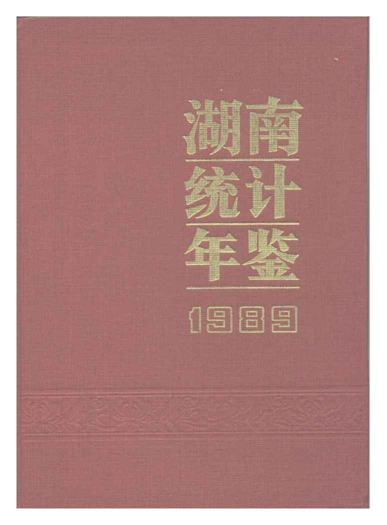 1989年湖南统计年鉴封面