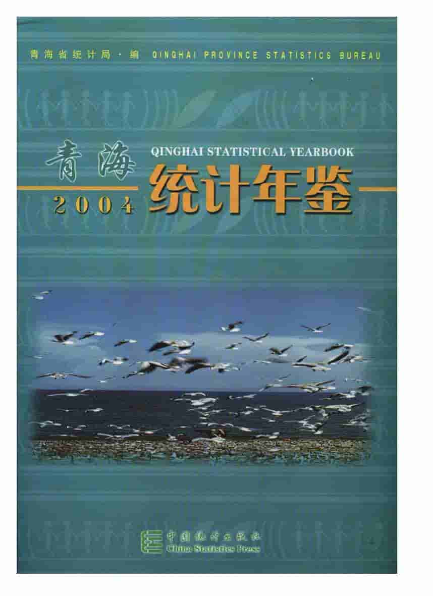 2004年青海统计年鉴封面