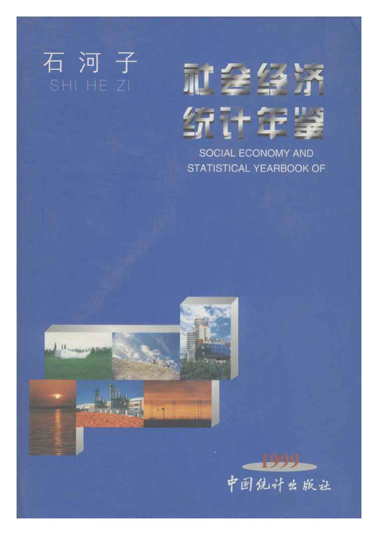 1999年石河子社会经济统计年鉴封面