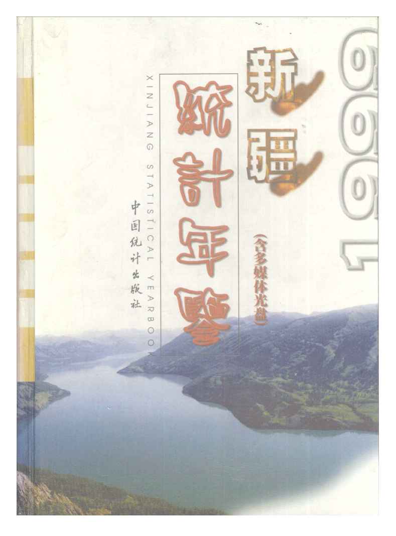 1999年新疆统计年鉴封面