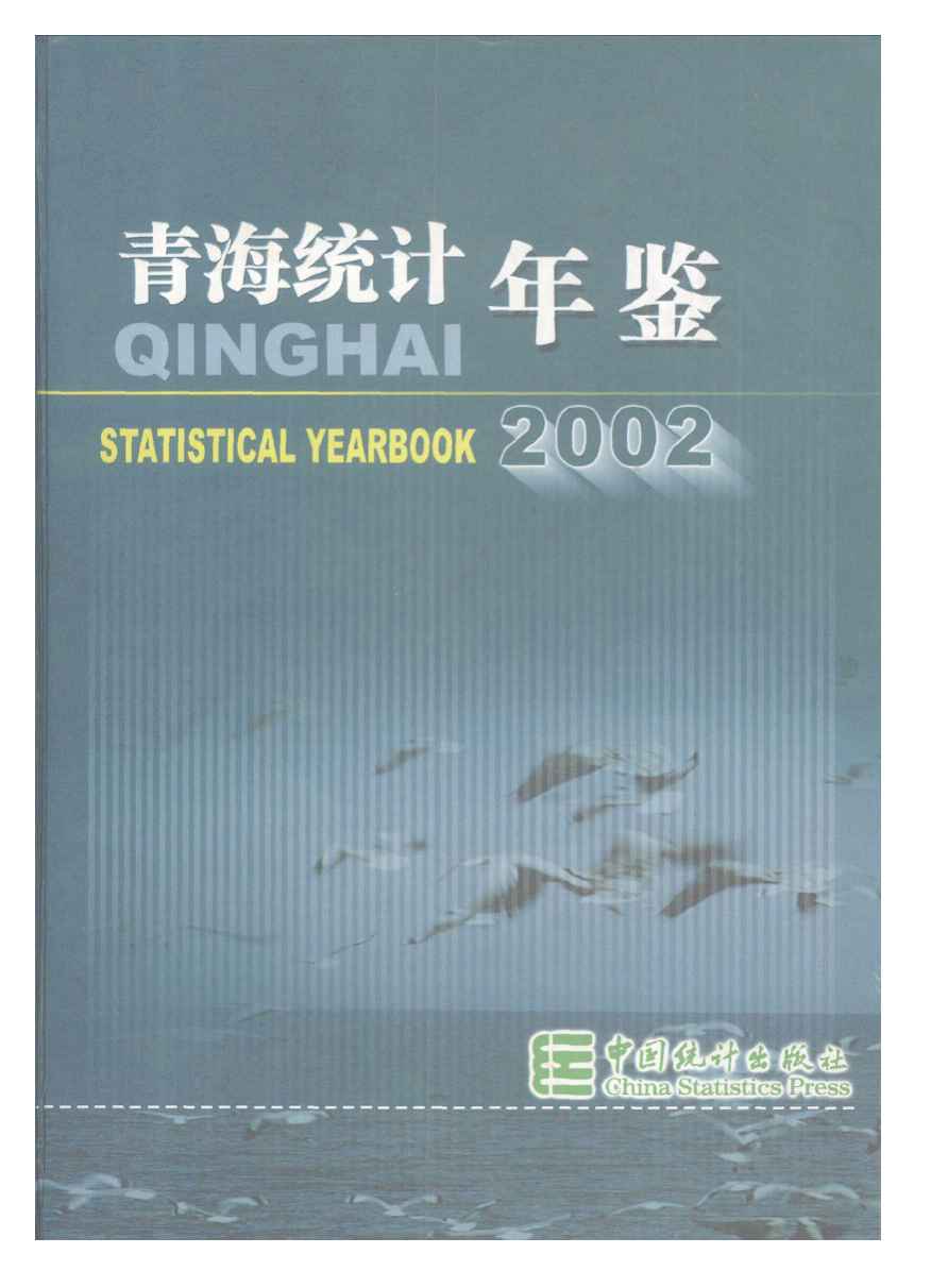 2002年青海统计年鉴封面