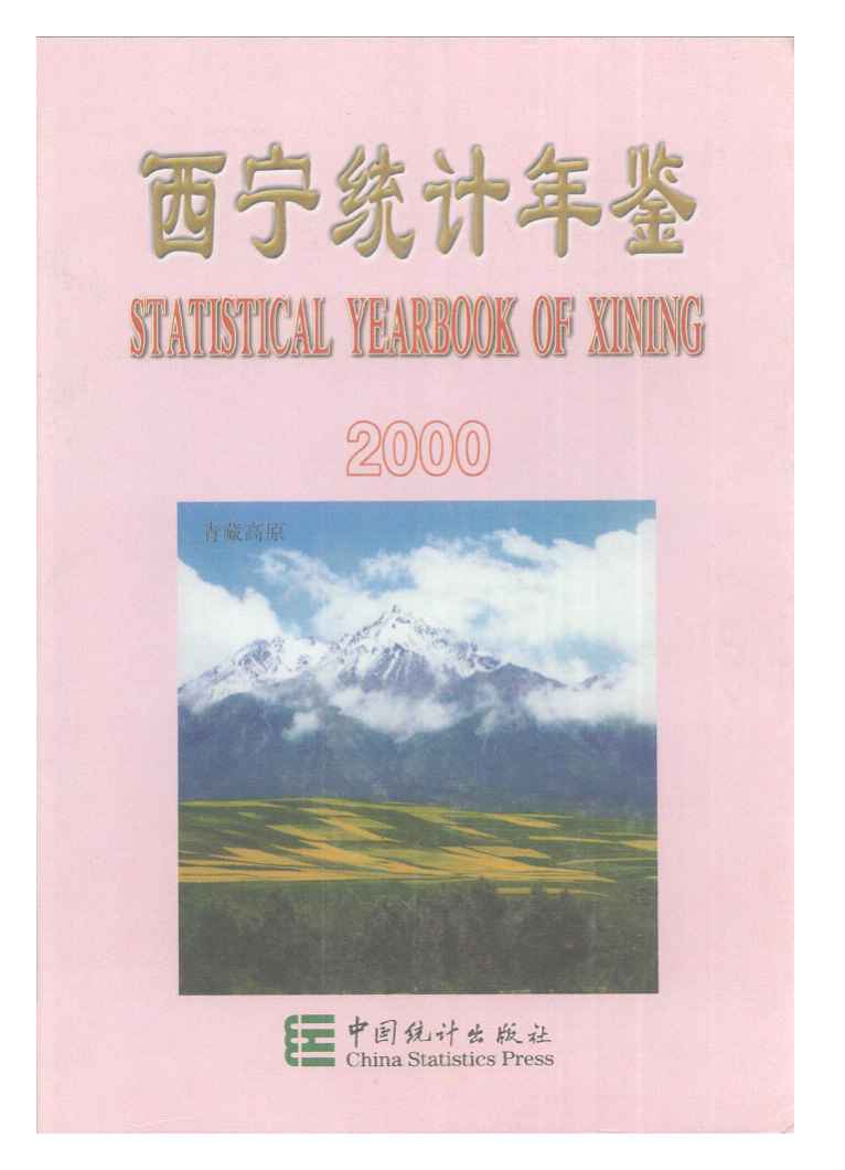 2000年西宁统计年鉴封面