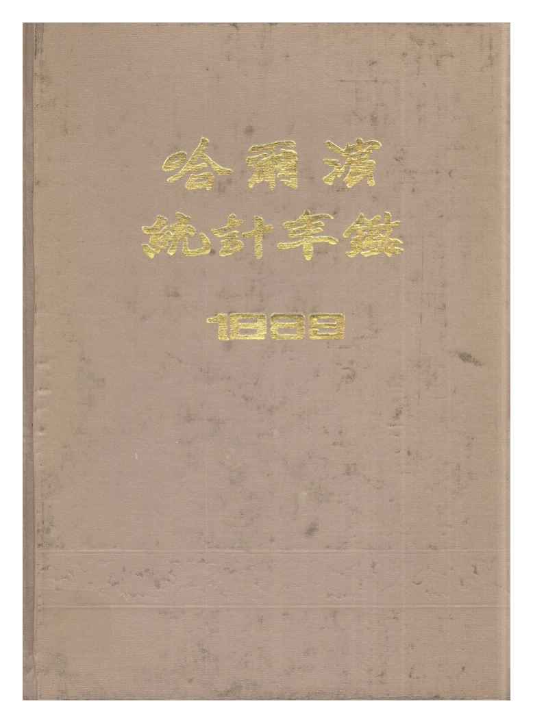 1989年哈尔滨统计年鉴封面
