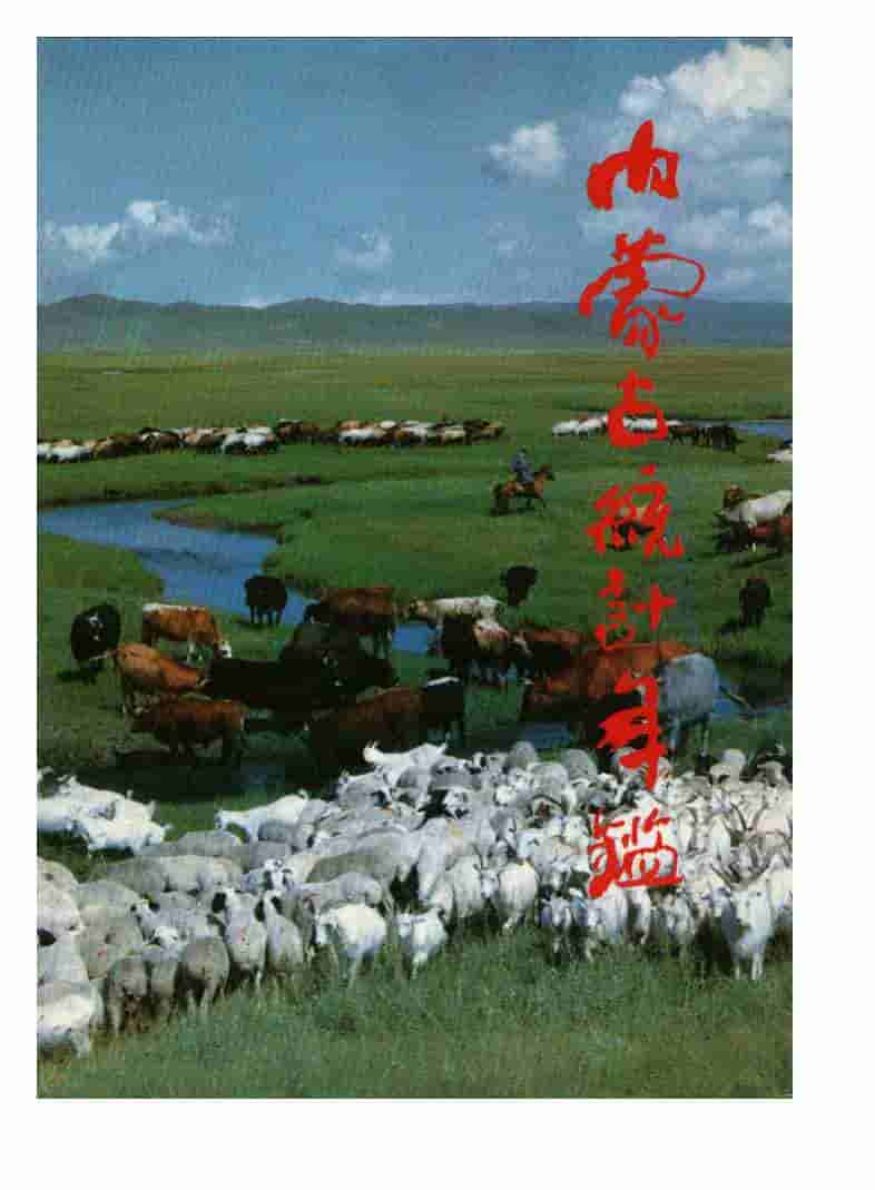 1991年内蒙古统计年鉴封面