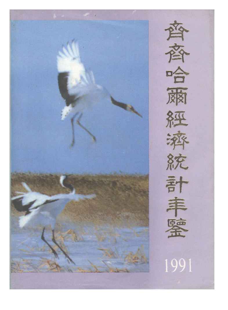1991年齐齐哈尔经济统计年鉴封面