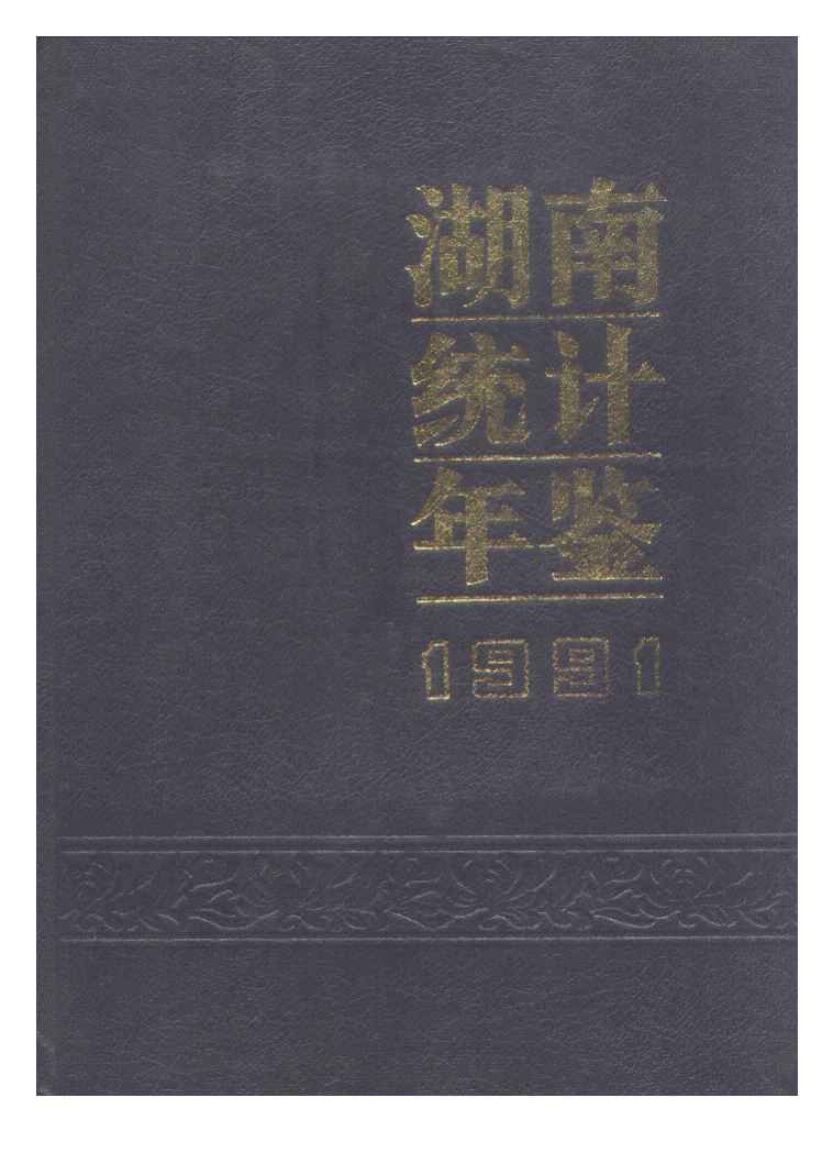 1991年湖南统计年鉴封面