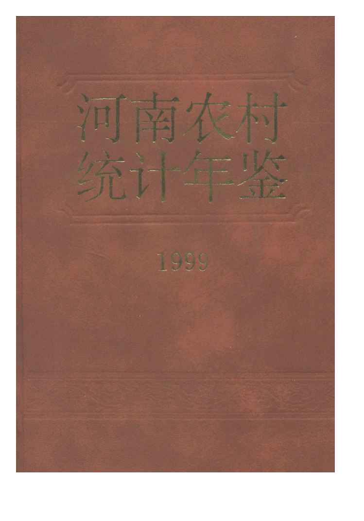 1999年河南农村统计年鉴封面