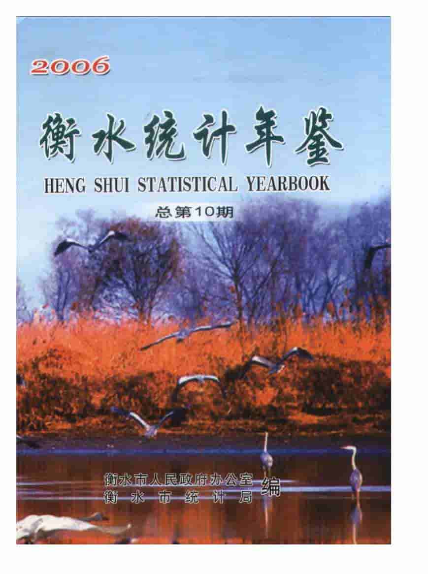 2006年衡水统计年鉴封面