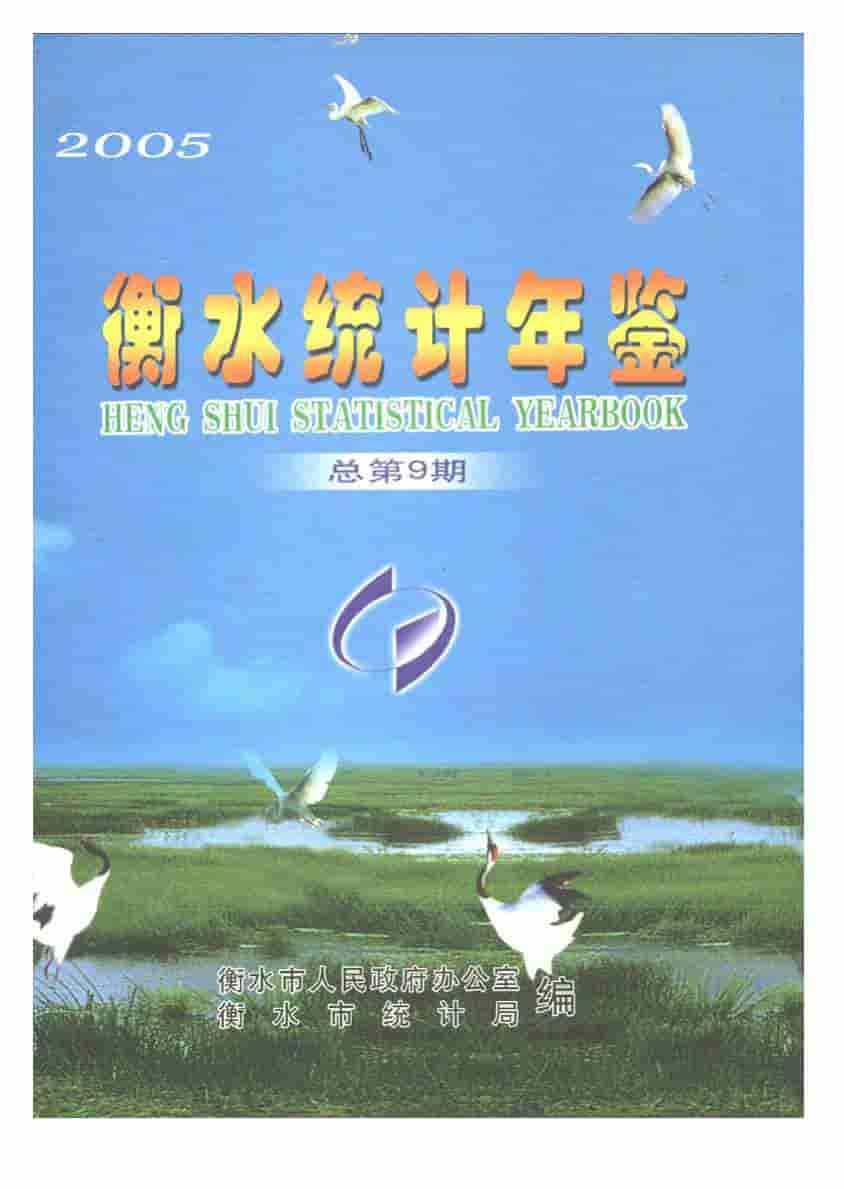 2005年衡水统计年鉴封面