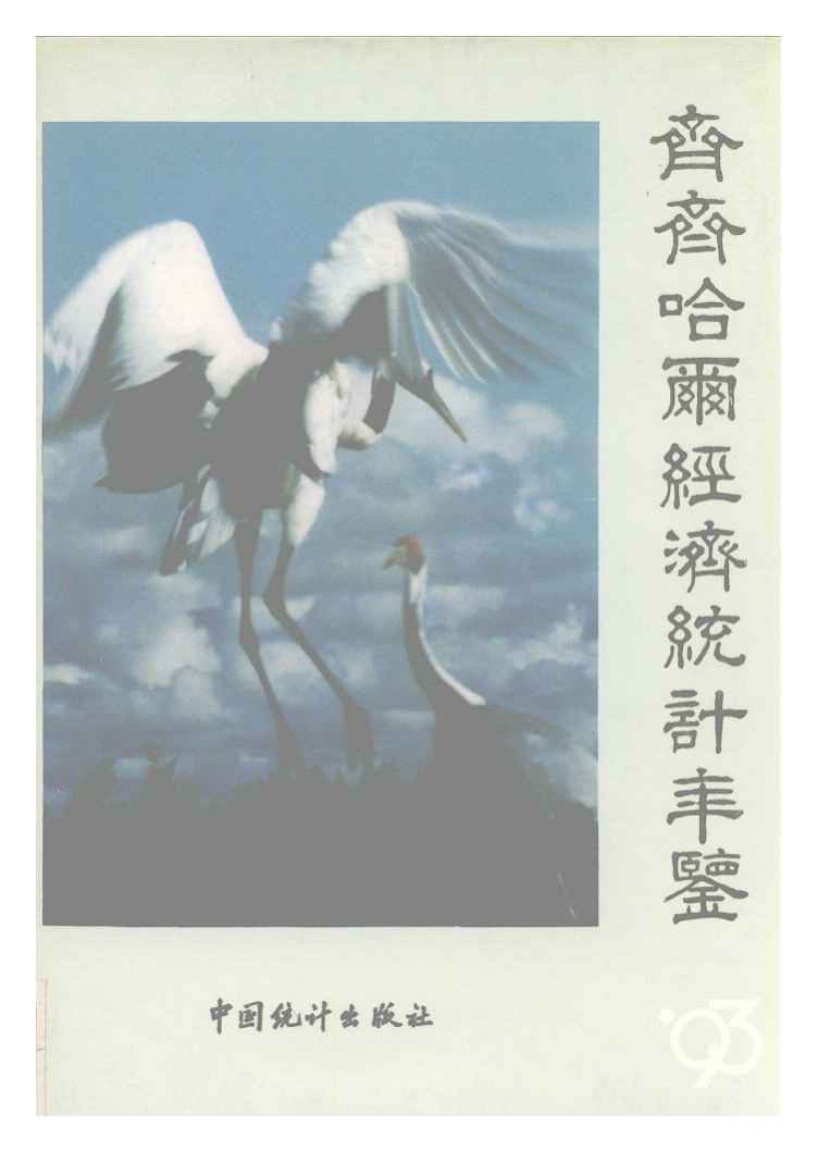 1993年齐齐哈尔经济统计年鉴封面