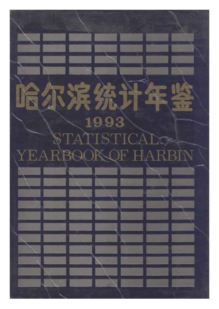 1993年哈尔滨统计年鉴封面