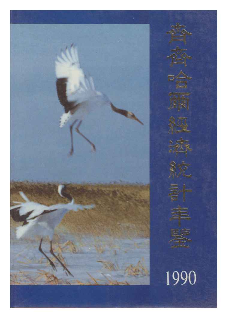 1990年齐齐哈尔经济统计年鉴封面