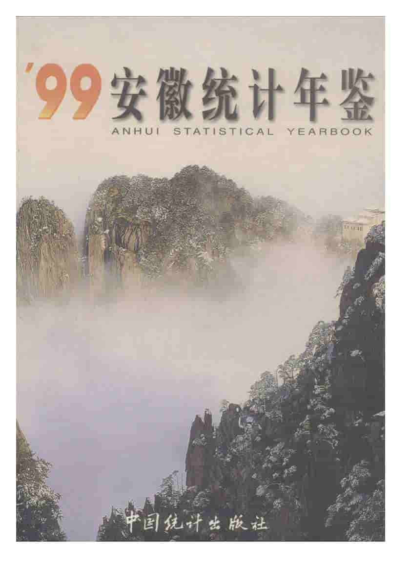 1999年安徽统计年鉴封面