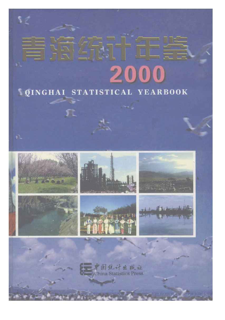 2000年青海统计年鉴封面