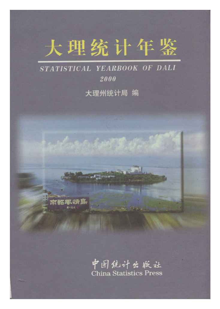 2000年大理统计年鉴封面