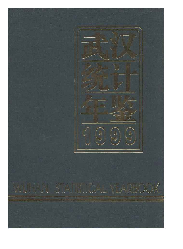 1999年武汉统计年鉴封面
