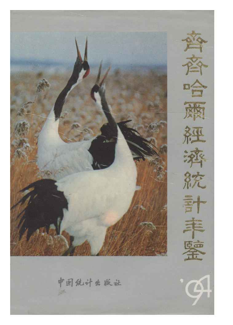 1994年齐齐哈尔经济统计年鉴封面