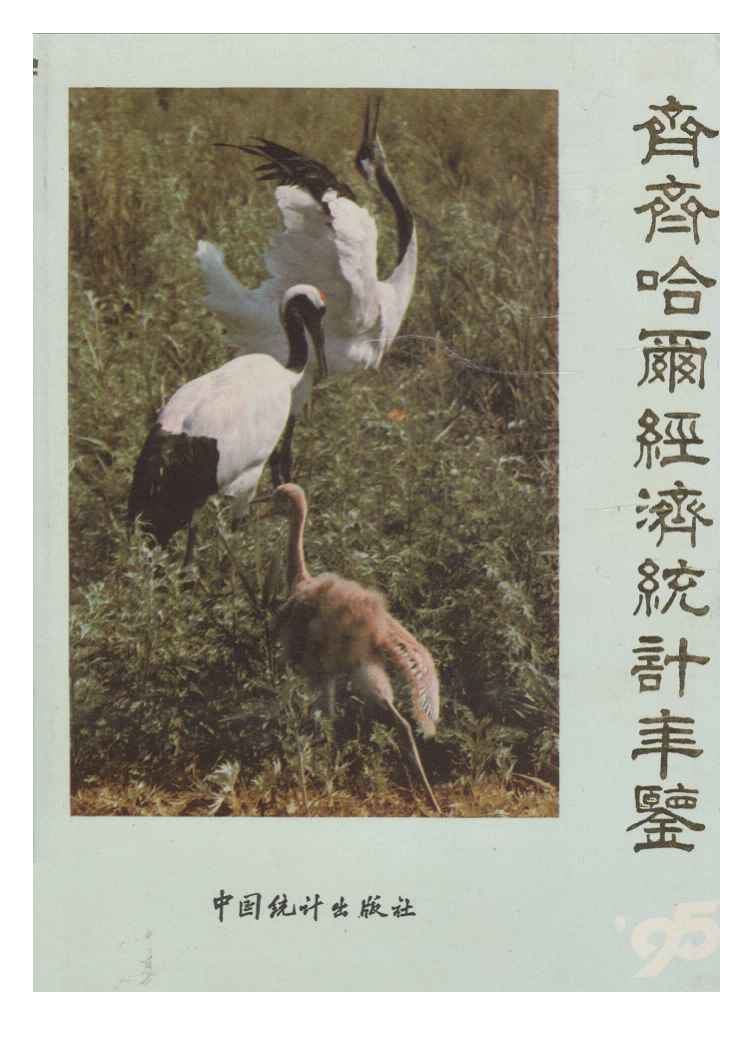 1995年齐齐哈尔经济统计年鉴封面