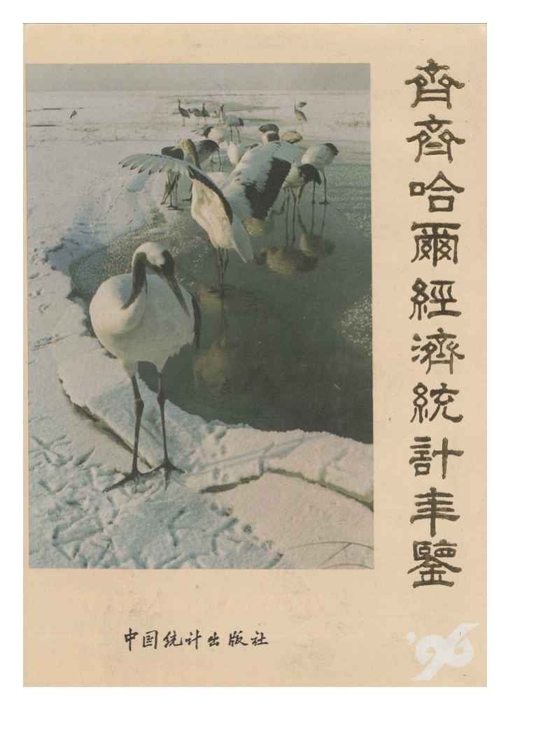 1996年齐齐哈尔经济统计年鉴封面