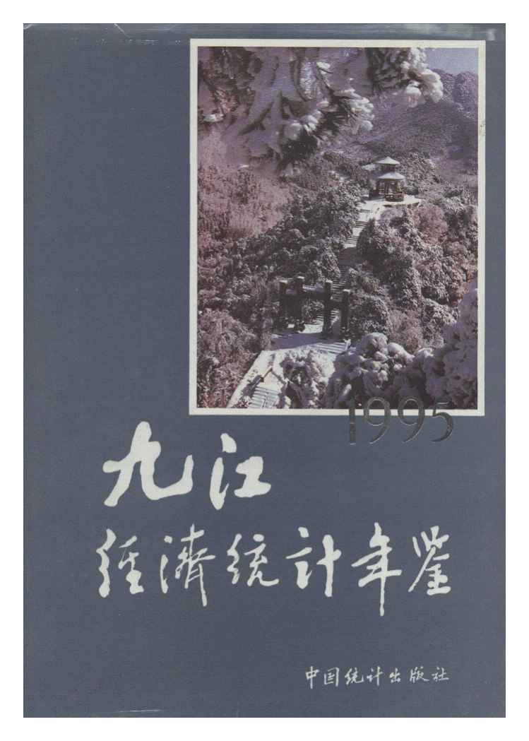 1995年九江经济统计年鉴封面