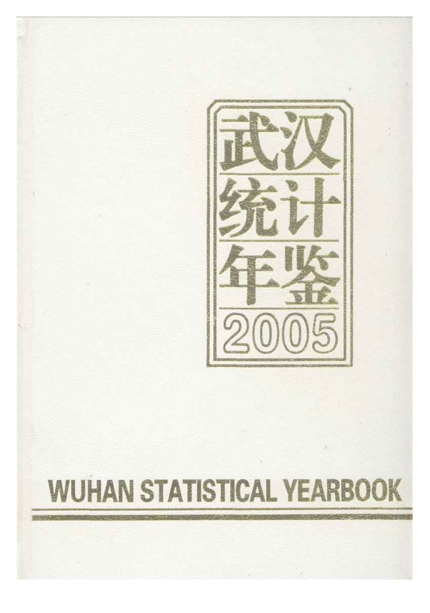 2005年武汉统计年鉴封面