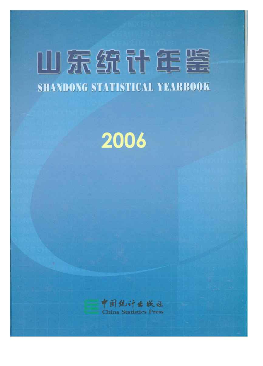 2006年山东统计年鉴封面