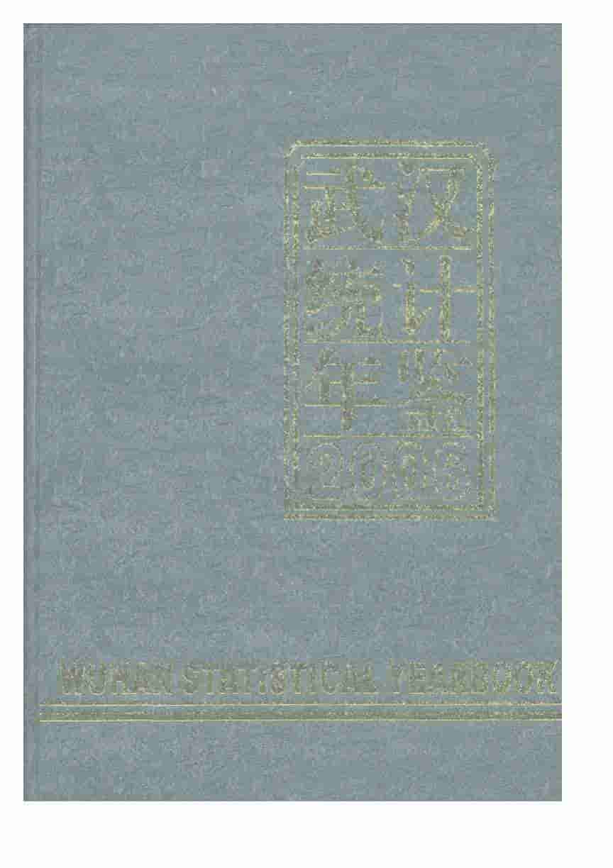 2006年武汉统计年鉴封面