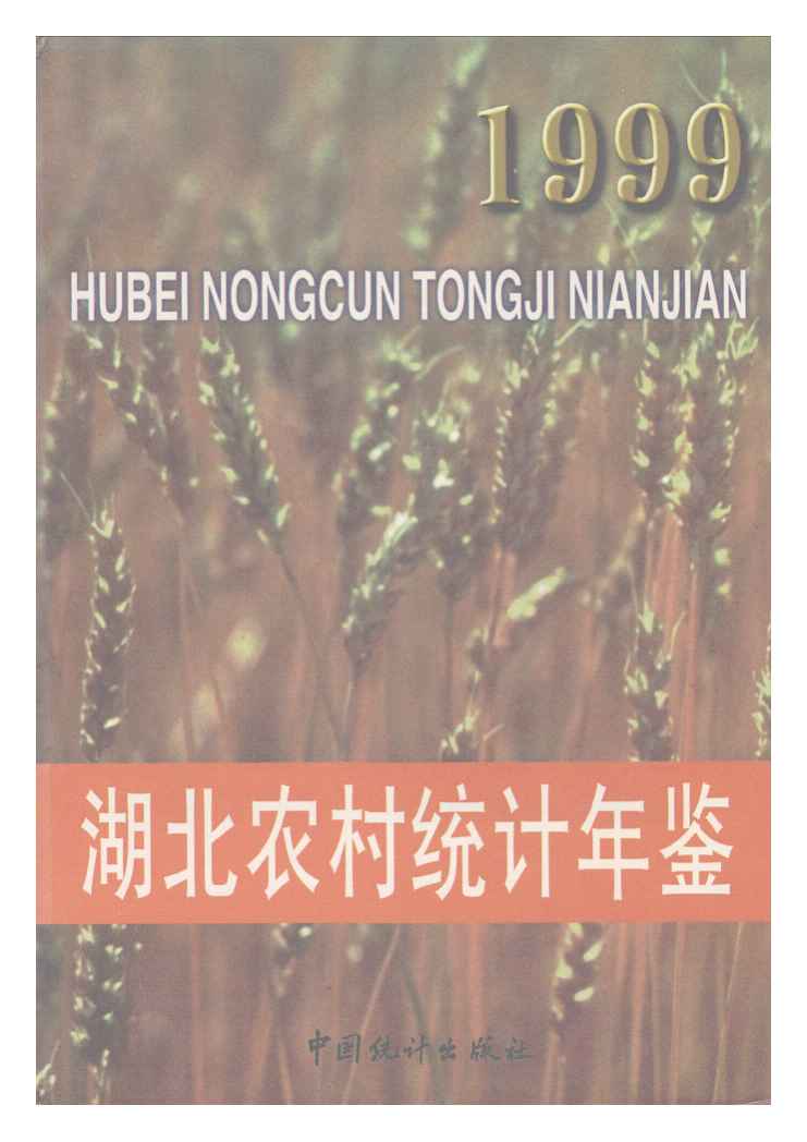 1999年湖北农村统计年鉴封面