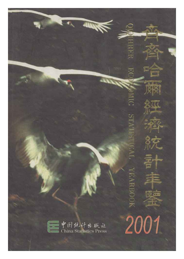 2001年齐齐哈尔经济统计年鉴封面