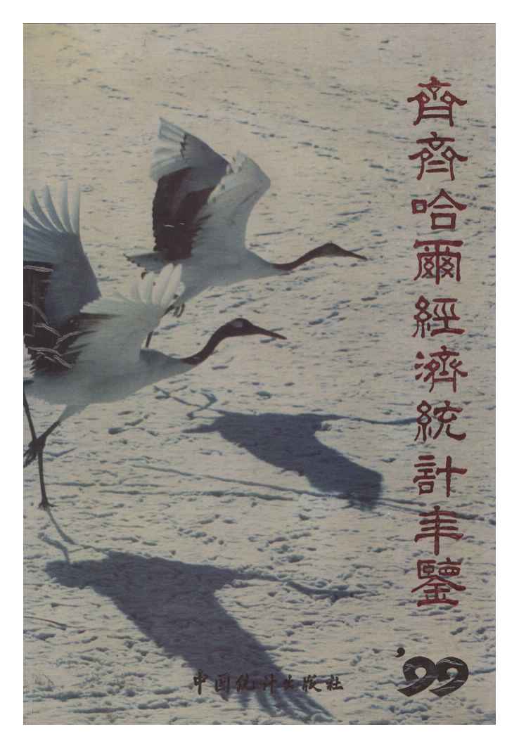1999年齐齐哈尔经济统计年鉴封面