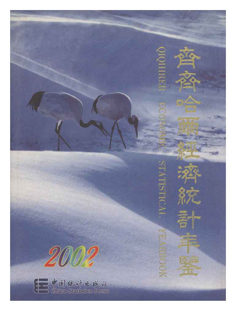 2002年齐齐哈尔经济统计年鉴封面