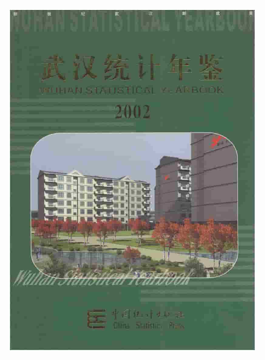 2002年武汉统计年鉴封面