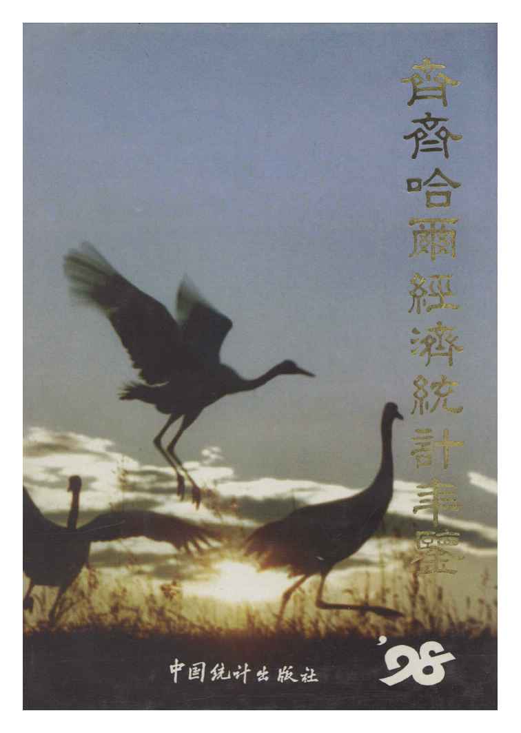 1998年齐齐哈尔经济统计年鉴封面
